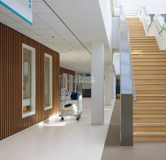 Forbo Sphera Essence 50526 clay фото 2 | FLOORDEALER